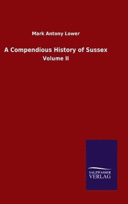 bokomslag Compendious History of Sussex
