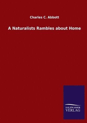 bokomslag A Naturalists Rambles about Home