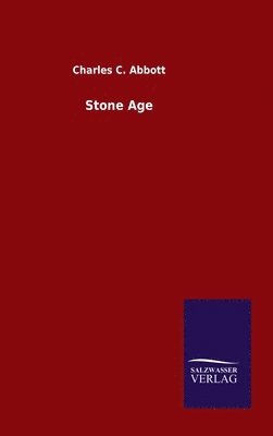 Stone Age