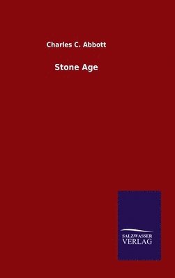 Stone Age 1