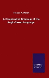 bokomslag A Comparative Grammar of the Anglo-Saxon Language