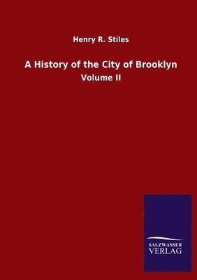 bokomslag A History of the City of Brooklyn