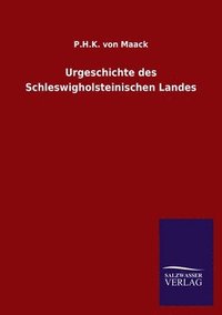 bokomslag Urgeschichte des Schleswigholsteinischen Landes