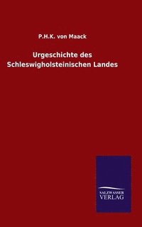 bokomslag Urgeschichte des Schleswigholsteinischen Landes