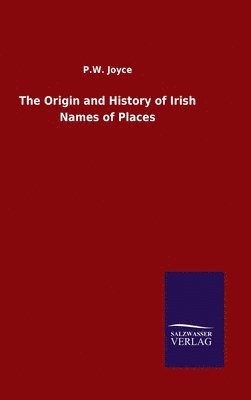 bokomslag Origin and History of Irish Names of Places