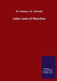 bokomslag Labor Laws of Mauritius