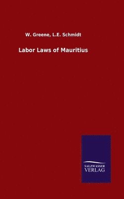 bokomslag Labor Laws of Mauritius