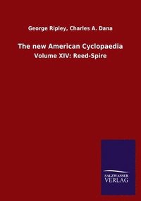 bokomslag new American Cyclopaedia
