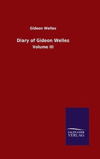 bokomslag Diary of Gideon Welles
