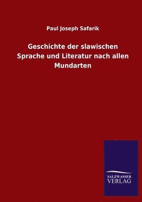 bokomslag Geschichte der slawischen Sprache und Literatur nach allen Mundarten