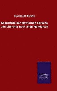 bokomslag Geschichte der slawischen Sprache und Literatur nach allen Mundarten