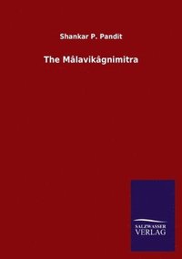 bokomslag The Mlavikgnimitra