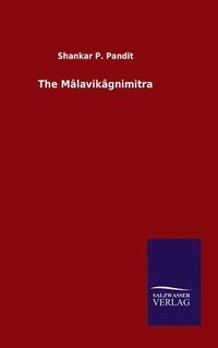 bokomslag The Mlavikgnimitra