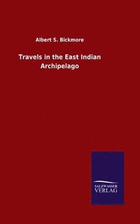 bokomslag Travels in the East Indian Archipelago