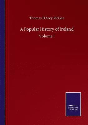 bokomslag A Popular History of Ireland