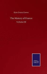 bokomslag The History of France