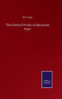 bokomslag The Poetical Works of Alexander Pope