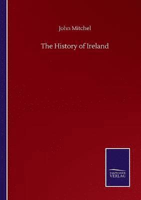 bokomslag The History of Ireland