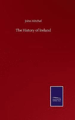 bokomslag The History of Ireland