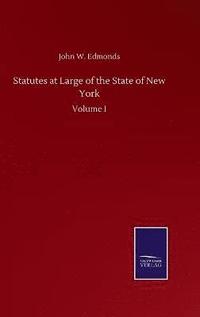 bokomslag Statutes at Large of the State of New York