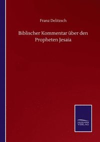 bokomslag Biblischer Kommentar ber den Propheten Jesaia