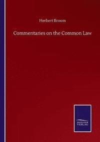 bokomslag Commentaries on the Common Law