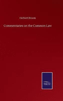 bokomslag Commentaries on the Common Law
