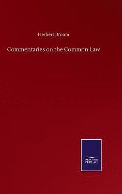 bokomslag Commentaries on the Common Law