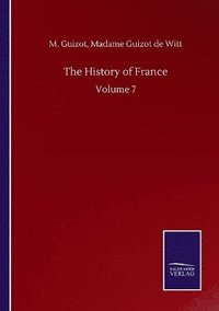 bokomslag History Of France