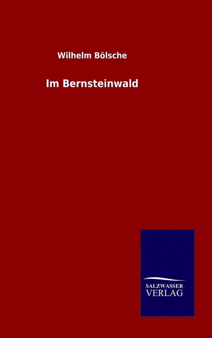 Im Bernsteinwald 1