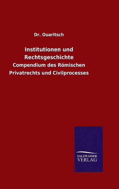 bokomslag Institutionen und Rechtsgeschichte