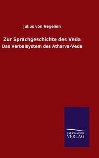 bokomslag Zur Sprachgeschichte des Veda