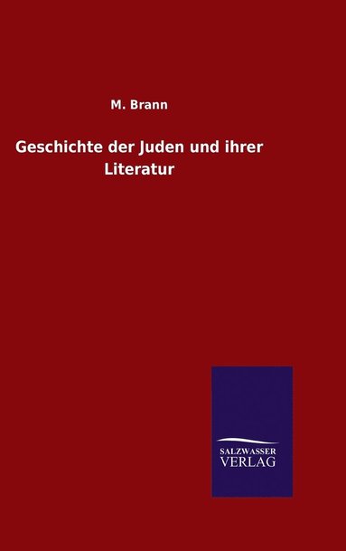 bokomslag Geschichte der Juden und ihrer Literatur