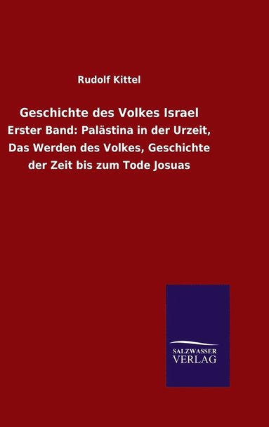 bokomslag Geschichte des Volkes Israel