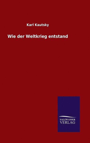 bokomslag Wie der Weltkrieg entstand