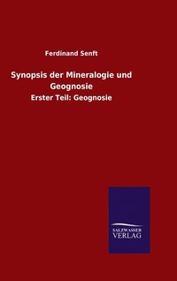 bokomslag Synopsis der Mineralogie und Geognosie