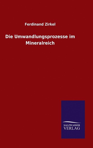 bokomslag Umwandlungsprozesse im Mineralreich