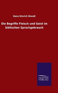 bokomslag Die Begriffe Fleisch und Geist im biblischen Sprachgebrauch