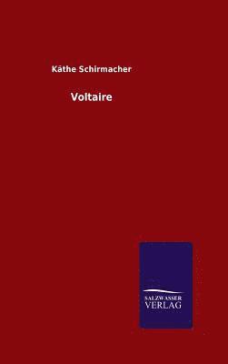 bokomslag Voltaire