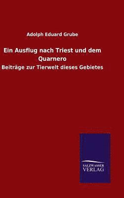 bokomslag Ausflug nach Triest und dem Quarnero