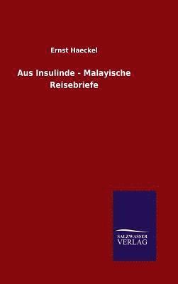 bokomslag Aus Insulinde - Malayische Reisebriefe