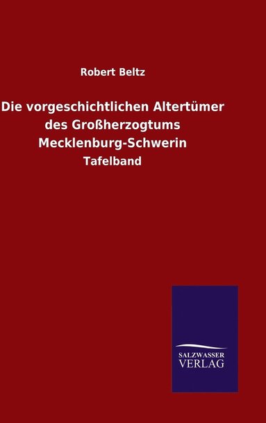 bokomslag vorgeschichtlichen Altertümer des Großherzogtums Mecklenburg-Schwerin