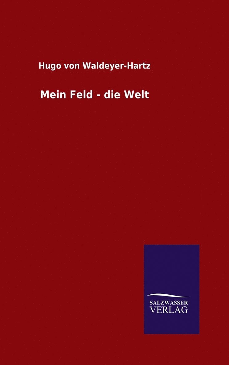 Mein Feld - die Welt 1