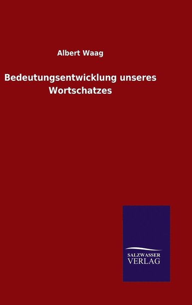 bokomslag Bedeutungsentwicklung unseres Wortschatzes