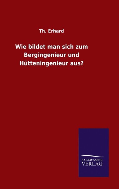 bokomslag Wie bildet man sich zum Bergingenieur und Htteningenieur aus?