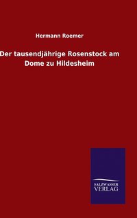 bokomslag Der tausendjhrige Rosenstock am Dome zu Hildesheim