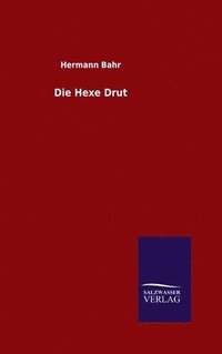 bokomslag Hexe Drut