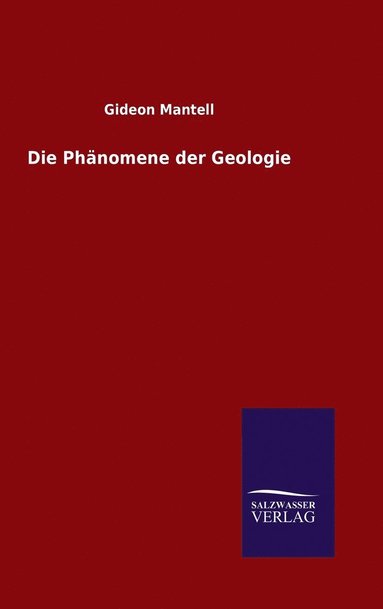 bokomslag Die Phnomene der Geologie