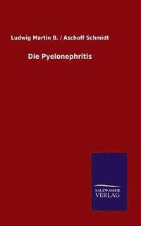 bokomslag Die Pyelonephritis