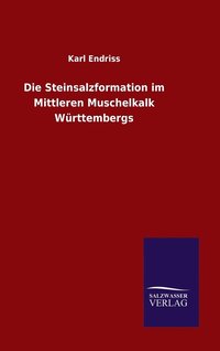 bokomslag Die Steinsalzformation im Mittleren Muschelkalk Wrttembergs